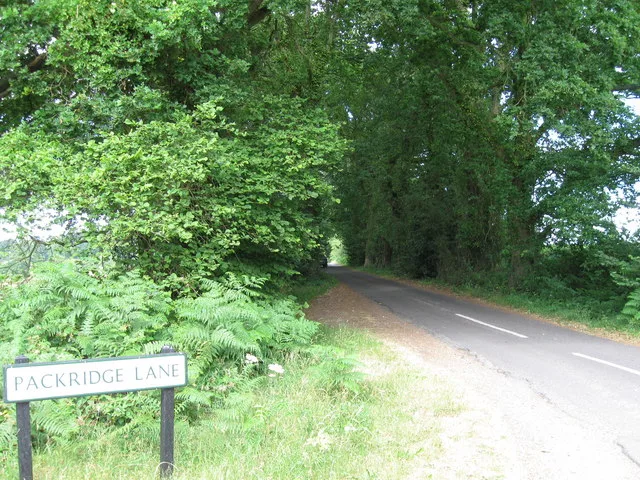 Packridge Lane at its junction with Rownhams Lane. The lane runs along the southern edge of the application site.